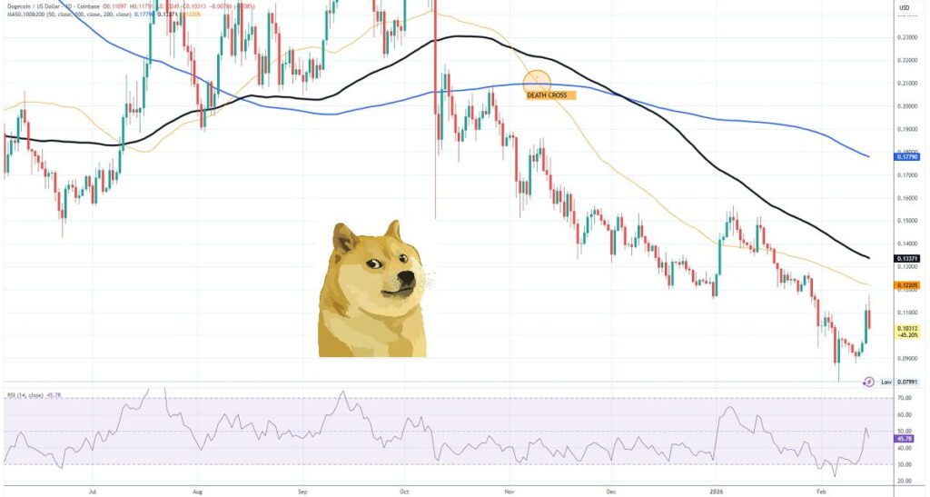 DOGE Dogecoin